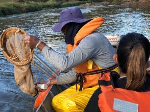 Vistoria GTA PMQQS Jul-18