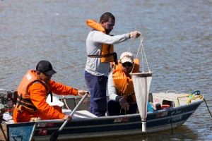 Coleta fitoplâncton - Nitro Imagens LTDA