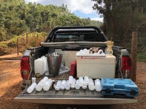 Frascaria para coleta